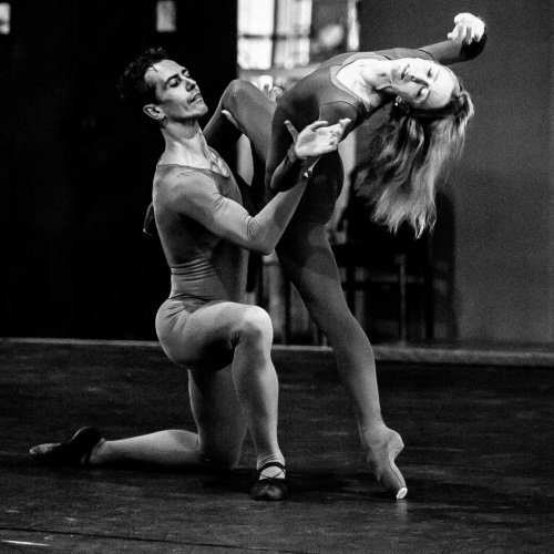 EntertainMeHub's tweet photo. Echo: First Look rehearsal images for #ProjectPolunin's #Satori @AmazonTheatreUK @SergeiPolunin_ https://t.co/MsX5tY0uHZ https://t.co/SnqMW3G2d0