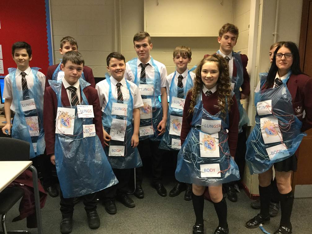 WestleighPE's tweet photo. 9B/PE1 loved making their own cardiovascular system aprons today. Don't forget about Rudolph the Red Nosed blood cell who is stuck in the vena cava, he needs to find Santa in the body. #physed #OCRGCSEPE https://t.co/xXofPZBZMe
