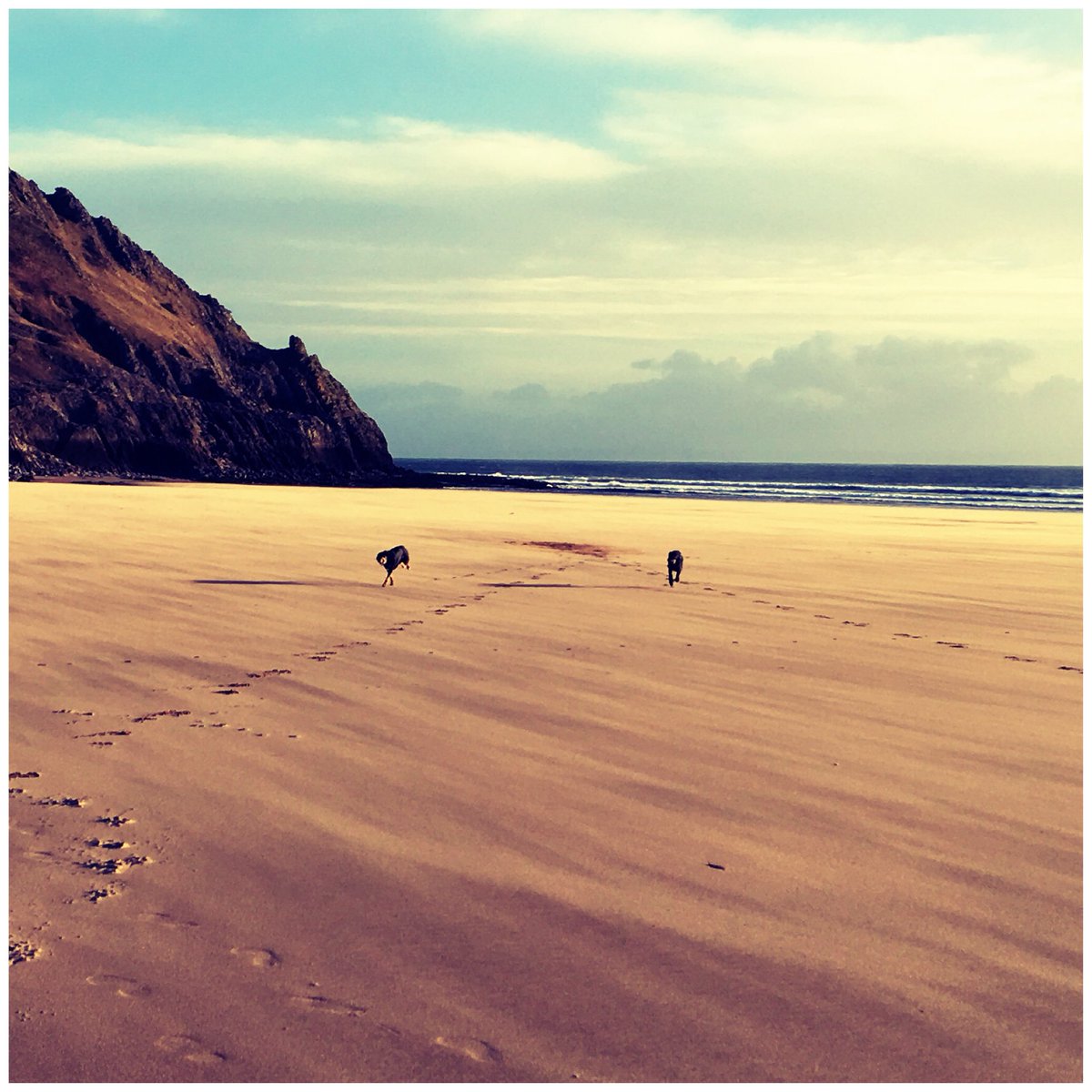 zoeperry's tweet photo. Backing the bid... why wouldn’t you with this on your doorstep @DCMS #Swansea2021 #CityOfCulture2021 https://t.co/XpWQ4XL2nF