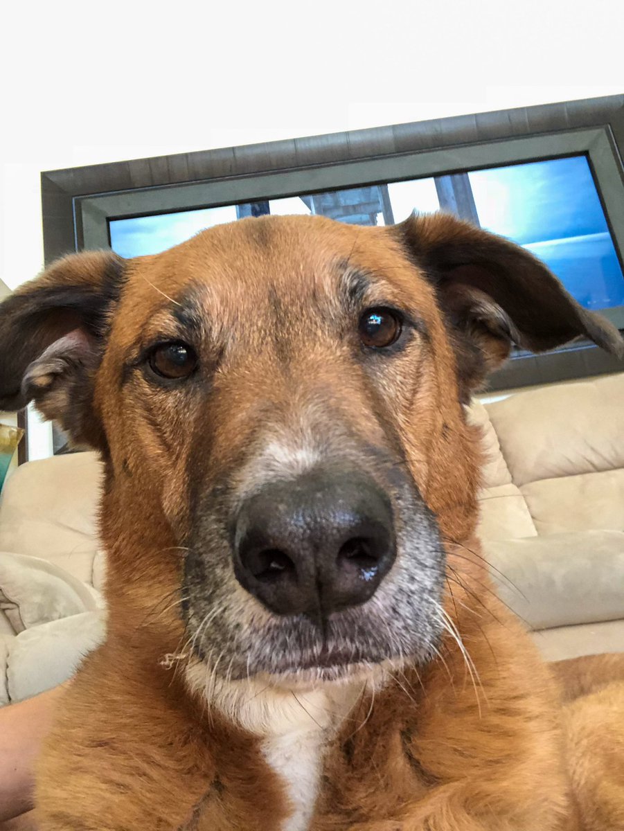 Rylee tweet media
