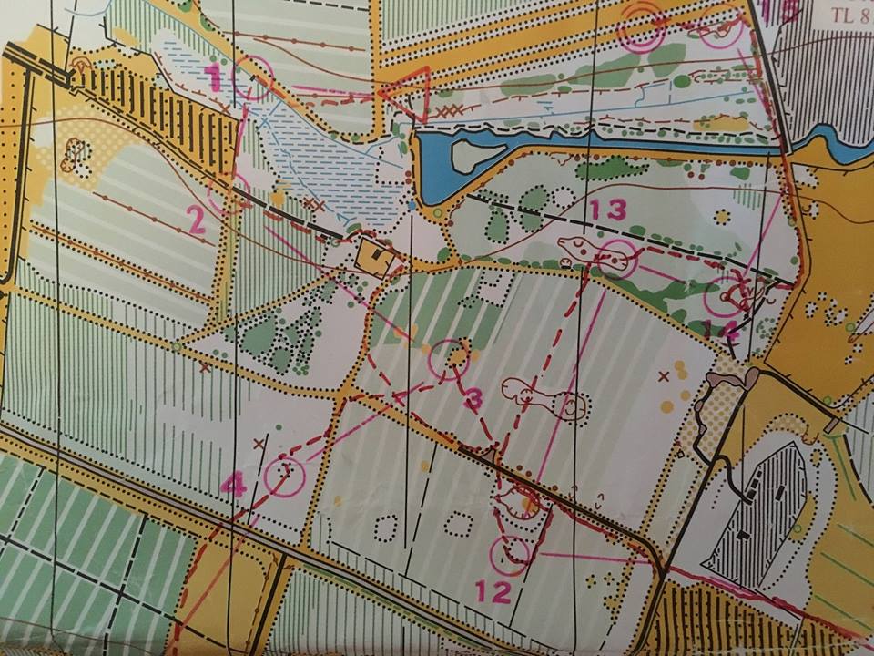 We're #orienteering at Lynford in #Thetford Forest this Sunday. Starts from 10.15 - Entries welcome on the day.