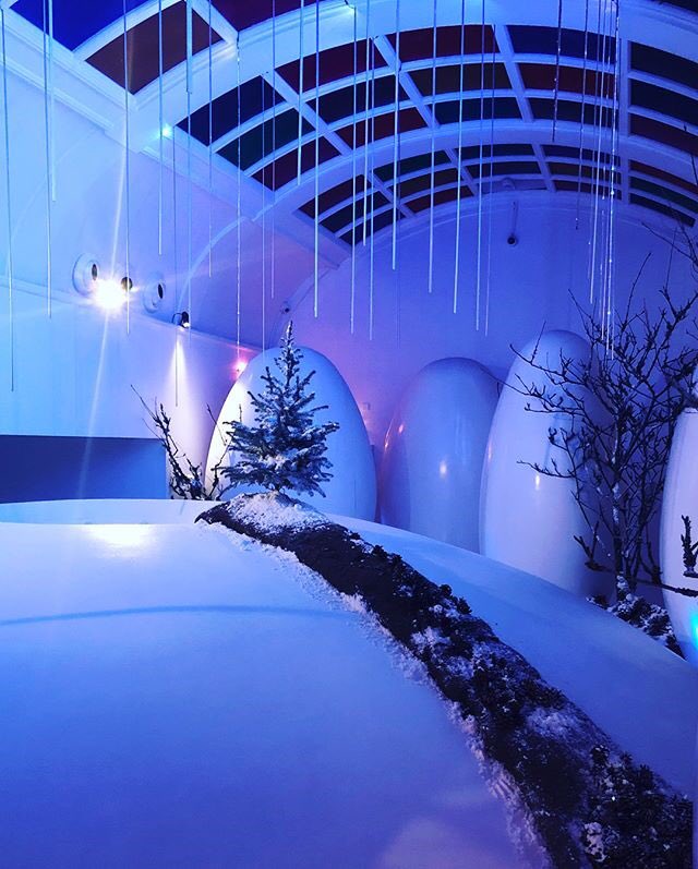 A Christmas Scene… “Stark, beautiful Lichen covered trees appear to grow from dark frozen earth... A path of snow and earth leads to a young Christmas Tree sapling  bursting with green life and optimism” By <a href="/Carlyandflowers/">Carly Rogers Flowers</a> flowers 🌲
With “In the Rain”, by Yuki Anai