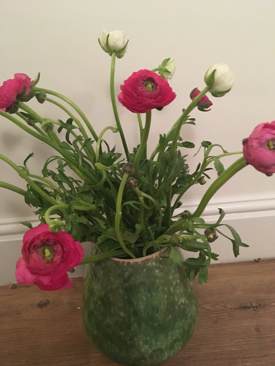 Beautiful #ranunculus from <a href="/carysflowersltd/">Cary's  flowers Ltd</a> on <a href="/norwich_market/">Norwich Market</a>  - #loveflowers - how to cheer up a soggy old day!