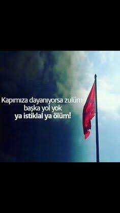 MÜBAREK ŞEHİR KUTSAL MEKAN MESCİD-İ AKSA PEYGAMBER EFENDİMİZ’in (sav)in Ayak bastığı belde bugün sana el uzatanın gün gelecek Elini kıracağız inşaALLAH #AlQudsForever seninleyiz.