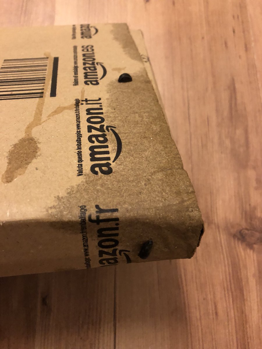 Stephie_Gold's tweet photo. @AmazonHelp email said ‘delivered to resident’ I wasn’t in... great to leave books in the rain... those are slugs... https://t.co/HpAvSRIqDb
