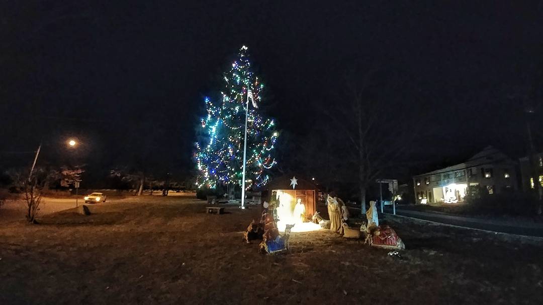 WeiseChoiceTree tweet picture