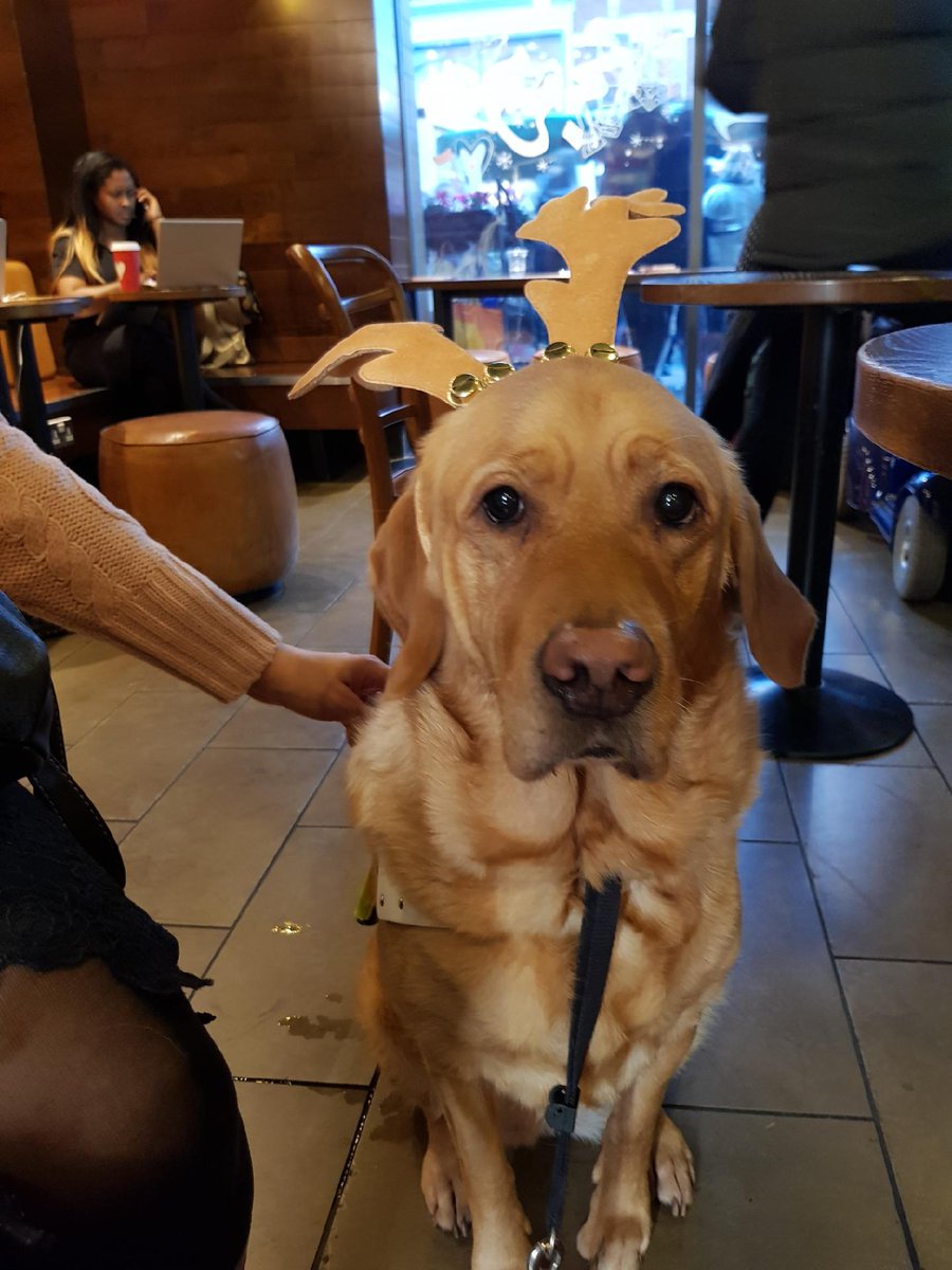 TransportForAll's tweet photo. Make some noise to support our @StarbucksUK #CheerForGood campaign by retweeting this tweet. We could win Β£2000 to help us unlock London's transport for Disabled & older people. @transportforall https://t.co/He08t5ZbJb https://t.co/ZYJveGltBX