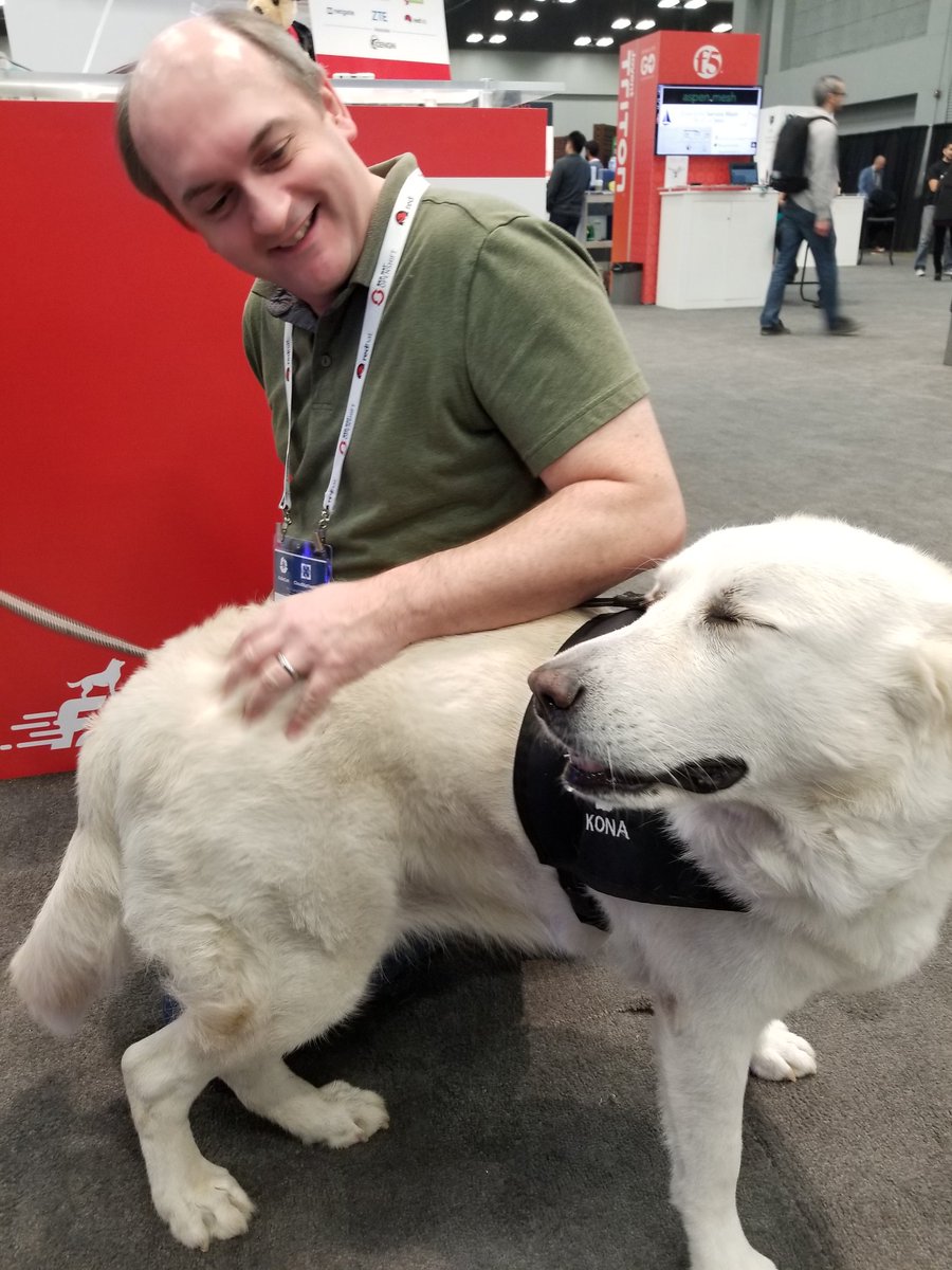 FDioProject's tweet photo. Come by our FD.ii booth and meet Kona from @AllianceHounds #KubeCon take selfie #SelfiewithFDio https://t.co/QbFoF97NkP