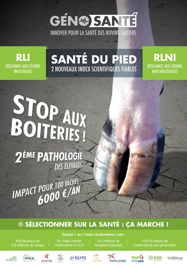 BenoitGuyonnet's tweet photo. #Génosanté: Deux nouveaux index scientifiques et fiables "Santé du pied". La totalité des taureaux #holstein diffusés par #EVOLUTIONXY et ses partenaires (@ElitestCIA , BCEL Ouest, SEENERGI, EILYPS, @AURIVA_ELEVAGE ) sont indexés RLI et RLNI. #in https://t.co/K7wXvsCmt4 https://t.co/m7IwwXK7Ch