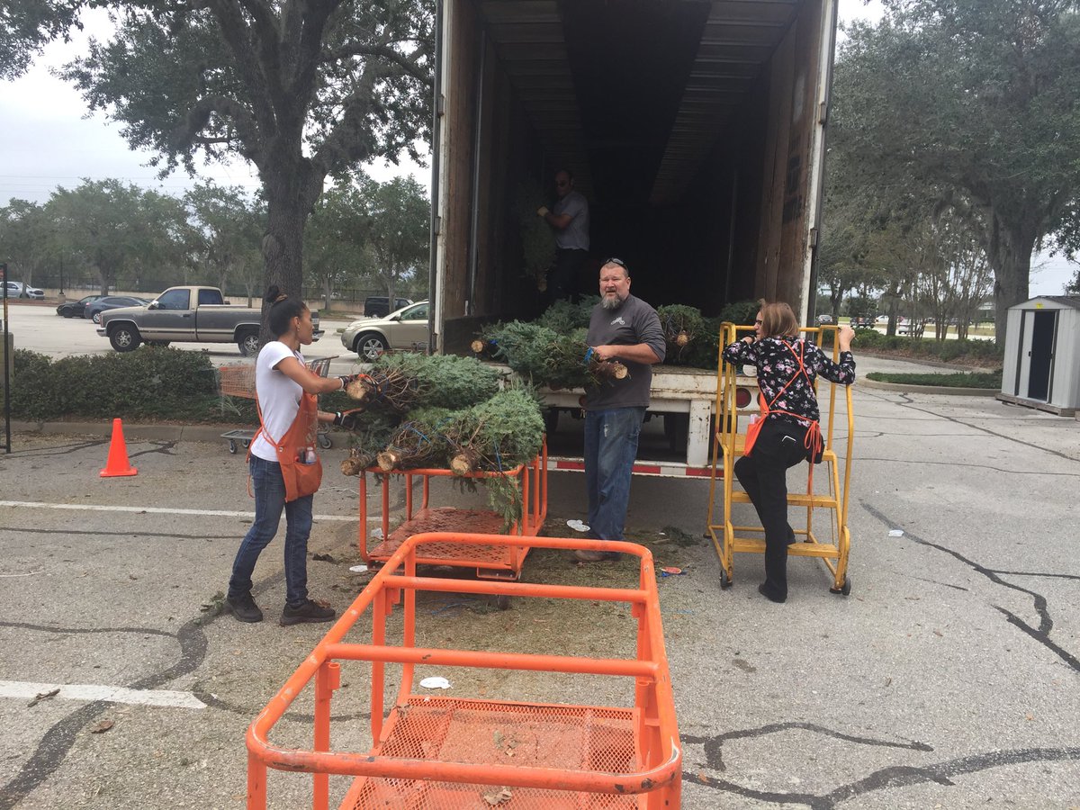 Tree truck again $$$