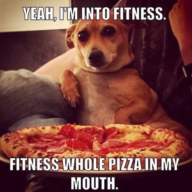 time2ftd's tweet image. Yikes!  We wouldn’t recommend that!  #fitnessfunny #fitnessquote #fitnessmotivation #fitnessgoals #feelthedifference #fitnessmemes #butwedontjoke #livelife #lovelife