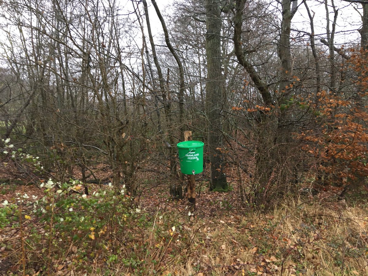 OmendenFarm's tweet photo. One of our @Perdixwildlife farmland feeders attracting blue and great tits. https://t.co/ySCfAO4f2z