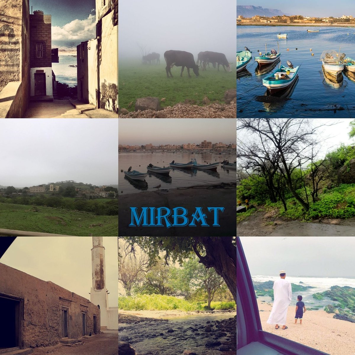 BahashwanHalima's tweet photo. https://t.co/98tWzCBa8S

#Mirbat 
#mass4025
#squpr https://t.co/RDGiXCEbmG
