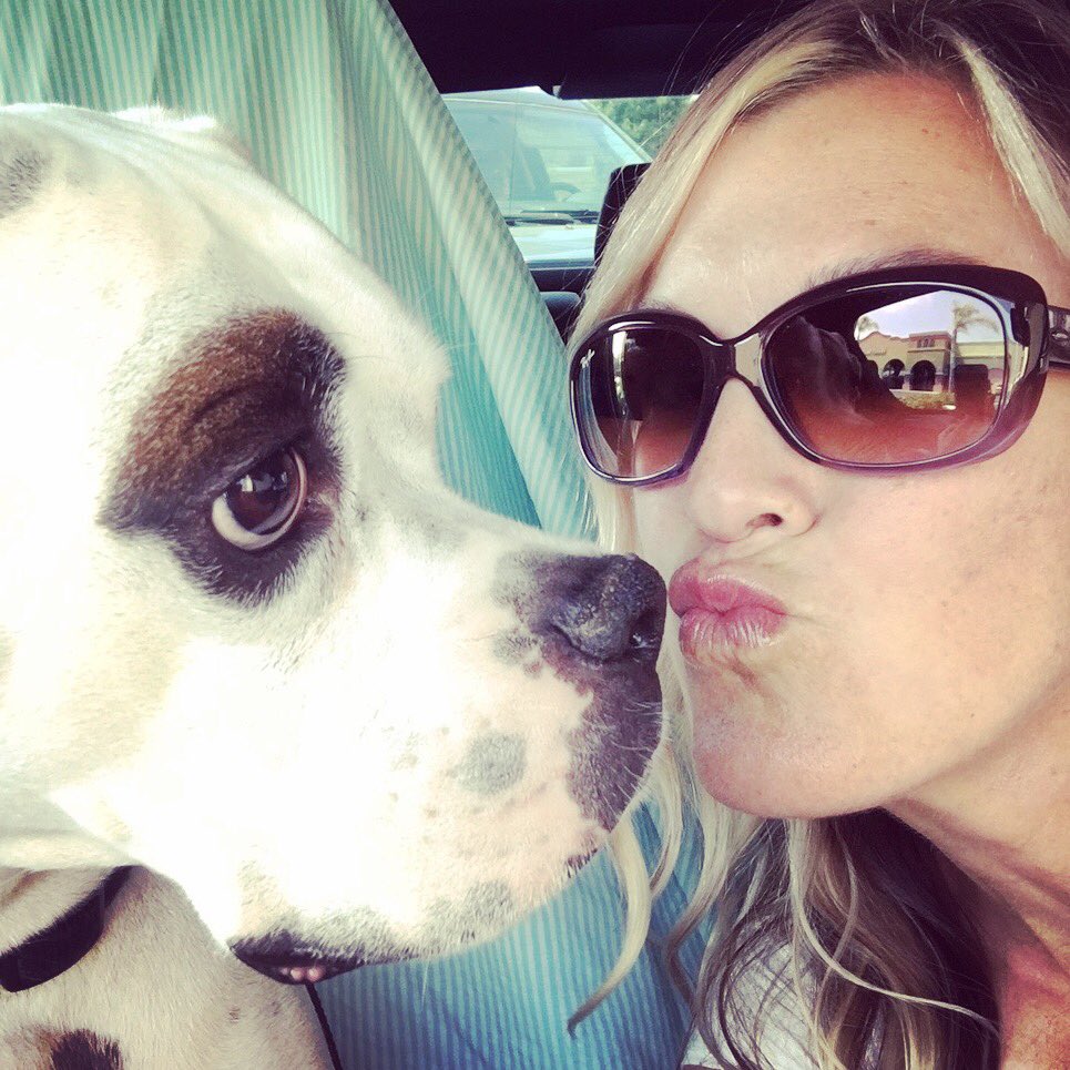 goSimian's tweet photo. It’s Friday Jr! 🙌 Kellie & Ghost are celebrating with a much-needed Starbucks run #gosimian https://t.co/J7MxkuhmSH