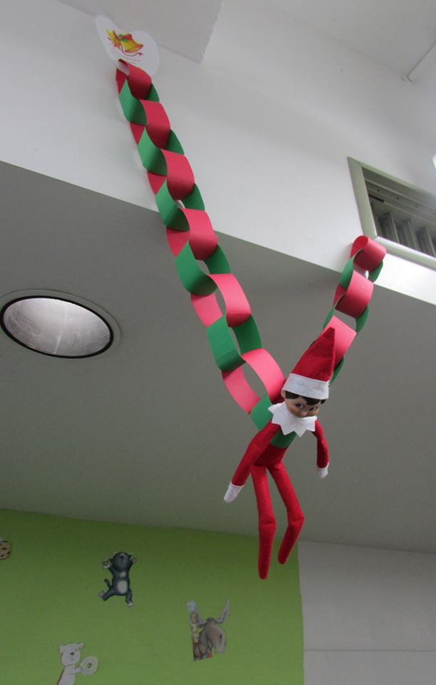 Day #6: Dewey just hanging around!