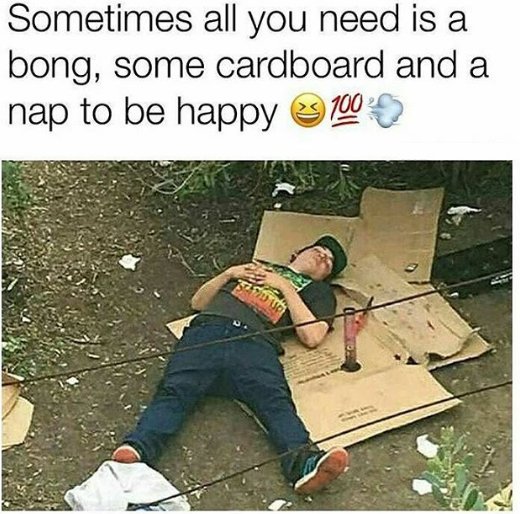 SantaMonicaMJ's tweet photo. Sometimes all you need is a bong, some cardboard and a nap to be happy. 
.
.
.
.
#happy #bong #santamonica #mjsantamonica #marijuana #medicalmarijauna #medicalcannabis #santamonica #weed #marijuanadelivery #weed #dispensary https://t.co/uUhBgU00YN