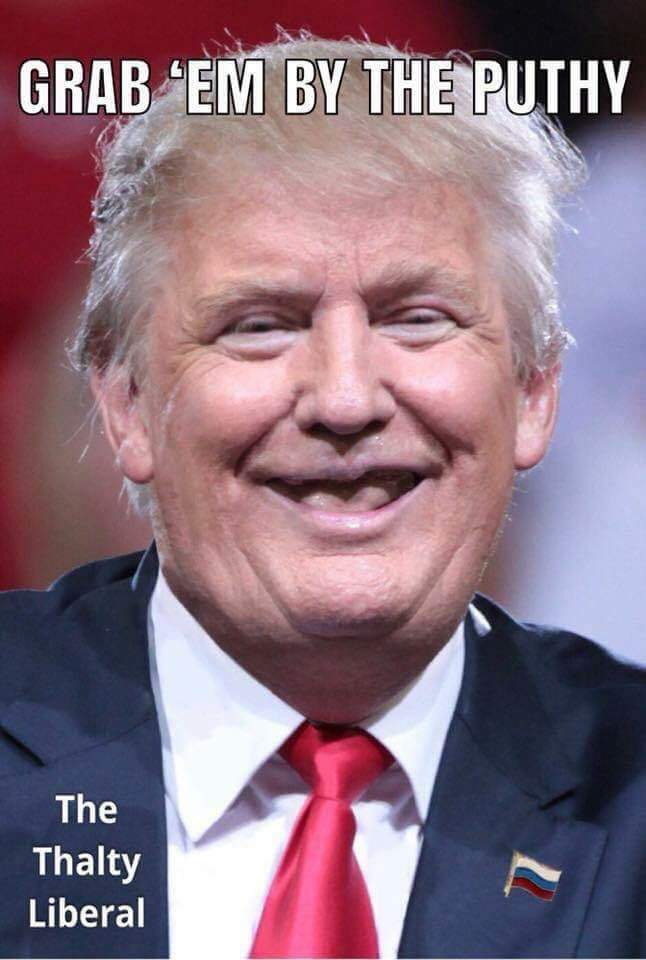 rjldenny's tweet image. @realDonaldTrump #PredatorInChief #PredatorTrump #FixYourTeeth