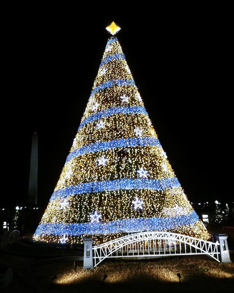 CandidePaul's tweet photo. Early merry Christmas everyone!🎄 #nationaltree #whitehouse #merrychristmas #dclife https://t.co/ft8RjwF4TC https://t.co/azVM6mS6T1