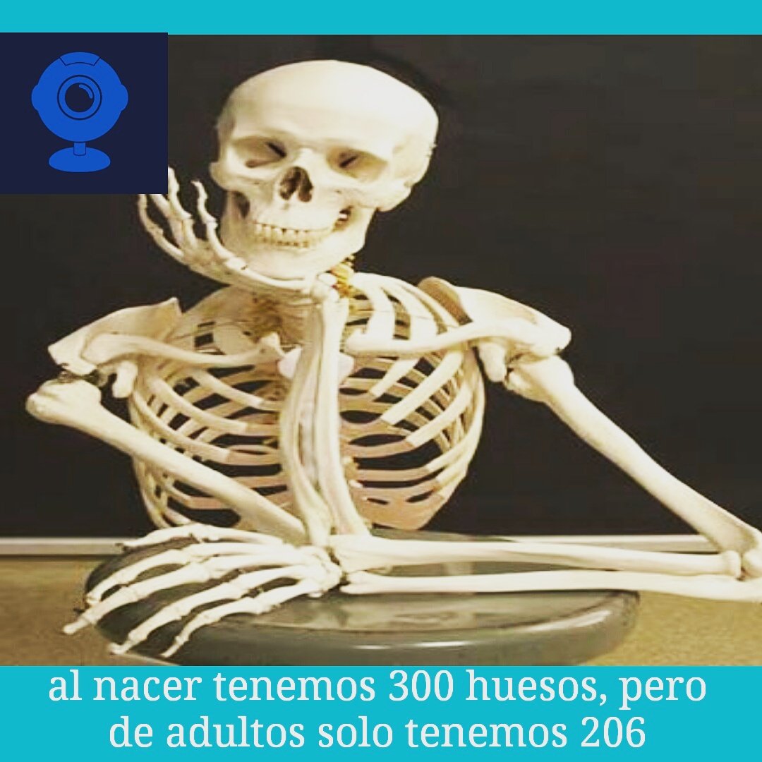 Puede que les sea dificil de creer, pero lo que les digo es completamente cierto 👌👍 RT
Cuentame: ¿te resulta facil creerlo?
.
#sercuriosotv #curiosidades #curioso #curiosos #news #datocurioso #FelizJueves  #JuevesDeGanarSeguidores  #siguemeytesigo #SiguemeYTeSigoAlInstante