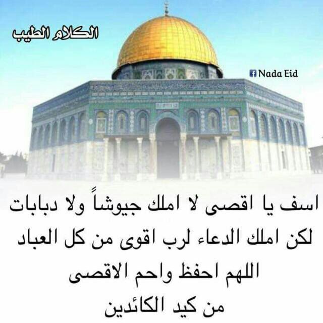 adlli_ra's tweet photo. https://t.co/igtuRWDMK2