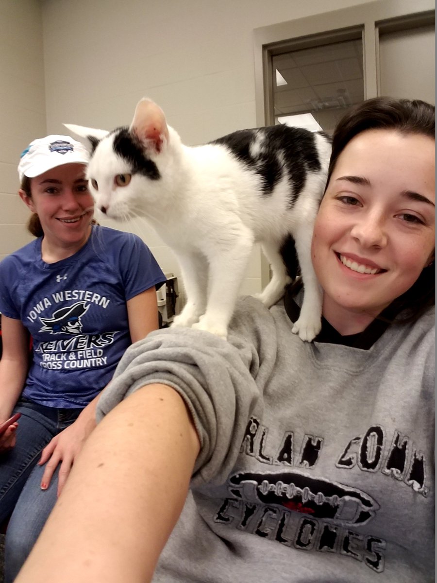 IWCCService's tweet photo. These Students Volunteered 100 Hours, Collected $261.27 in in-kind donations and $137.79 in monetary donations for the Midlands Humane Society as a Service Learning Project! Great Work!! #IWCCGIVESBACK #iwcc https://t.co/Azob11G65i