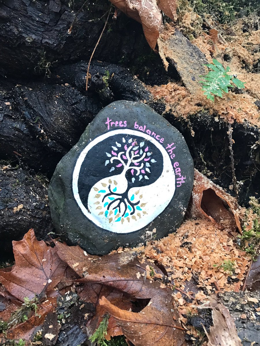 Learning about habitat loss  due to potential deforestation@nvsd