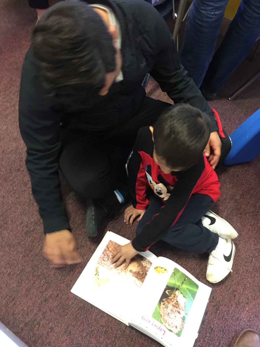 jpettykc's tweet image. The preschoolers invited parents to a celebration of learning as we ended our Insect Study.