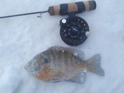 3brothersflies's tweet photo. Winter weather has arrived! Hopefully, with this weather, we can get out and chase some slabs. Check the blog for a post on ice flies! https://t.co/3ulB9KTm7R https://t.co/VJQWapqrIh