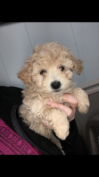 Watch summer lynn hart's leaked NSFW photo on TwXstars