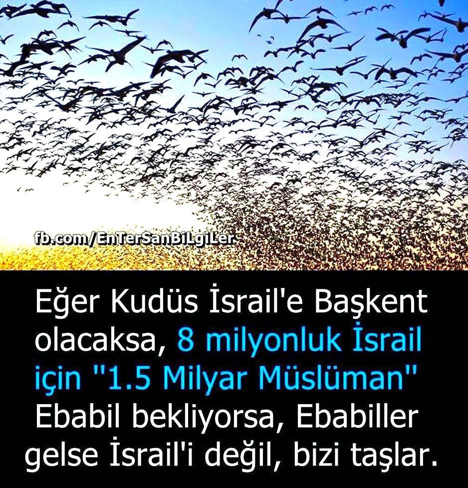 Gngllll's tweet photo. #İslamDünyasıUYAN Bu sıkıntılar müslümanları demirden çeliğe döndürecek sıkıntılar Ey israil, ey amerika sizki bize karşı böyle bir hamle içine girdiniz,Siz Kudüs'e Göz Diktinizya Biz de Size AYOSOFYODAN EZAN DİNLETİP NAMAZINIDA KUDÜS'DE KILACAĞIZ BUNUN BEDELİNİ  ÖDEYECEKSİNİZ... https://t.co/atzpJi63fW