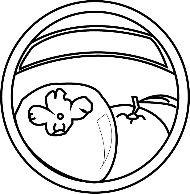 mi primer logo para una empresa,decidme si le puedo añadir algo