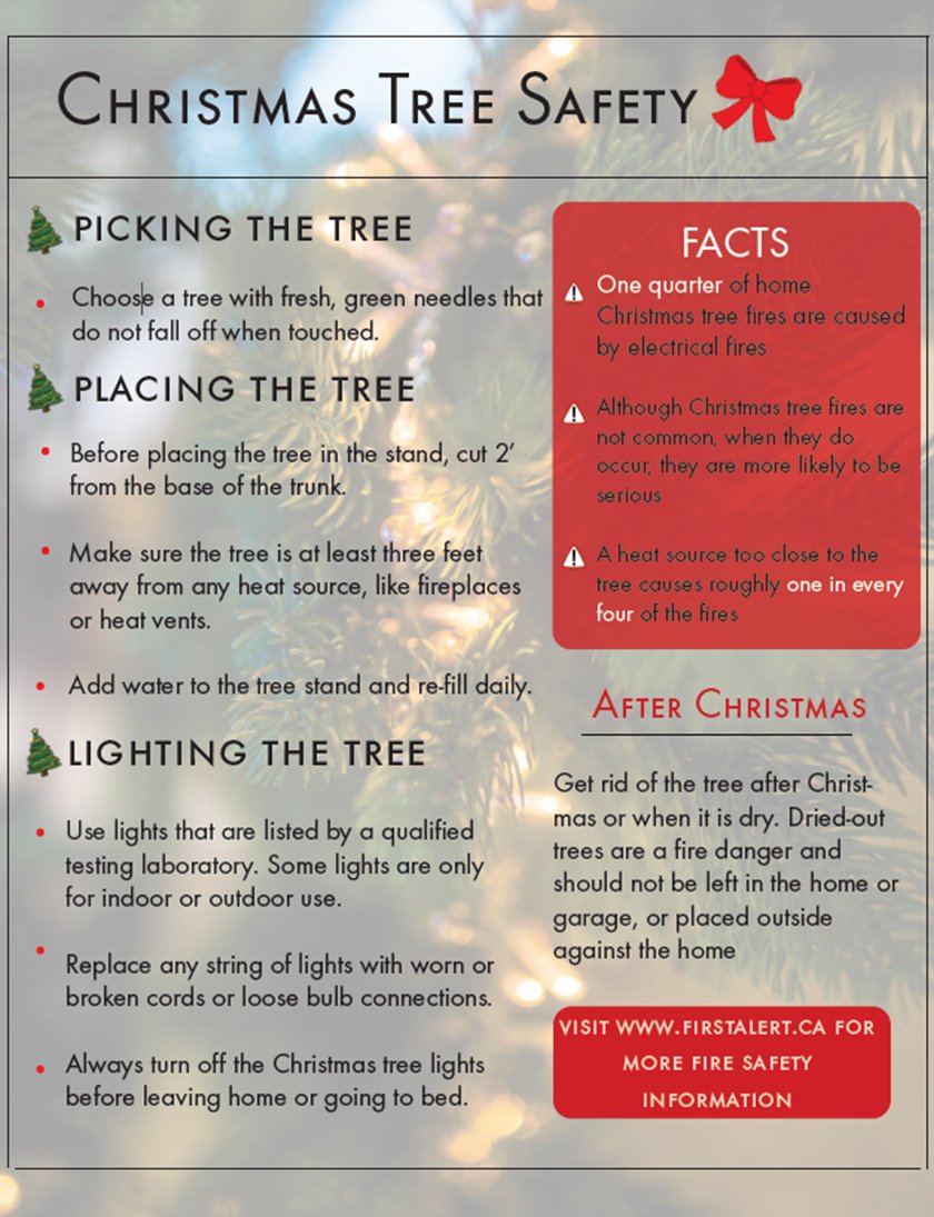 Christmas Tree tips from our friends at First Alert - firstalert.ca