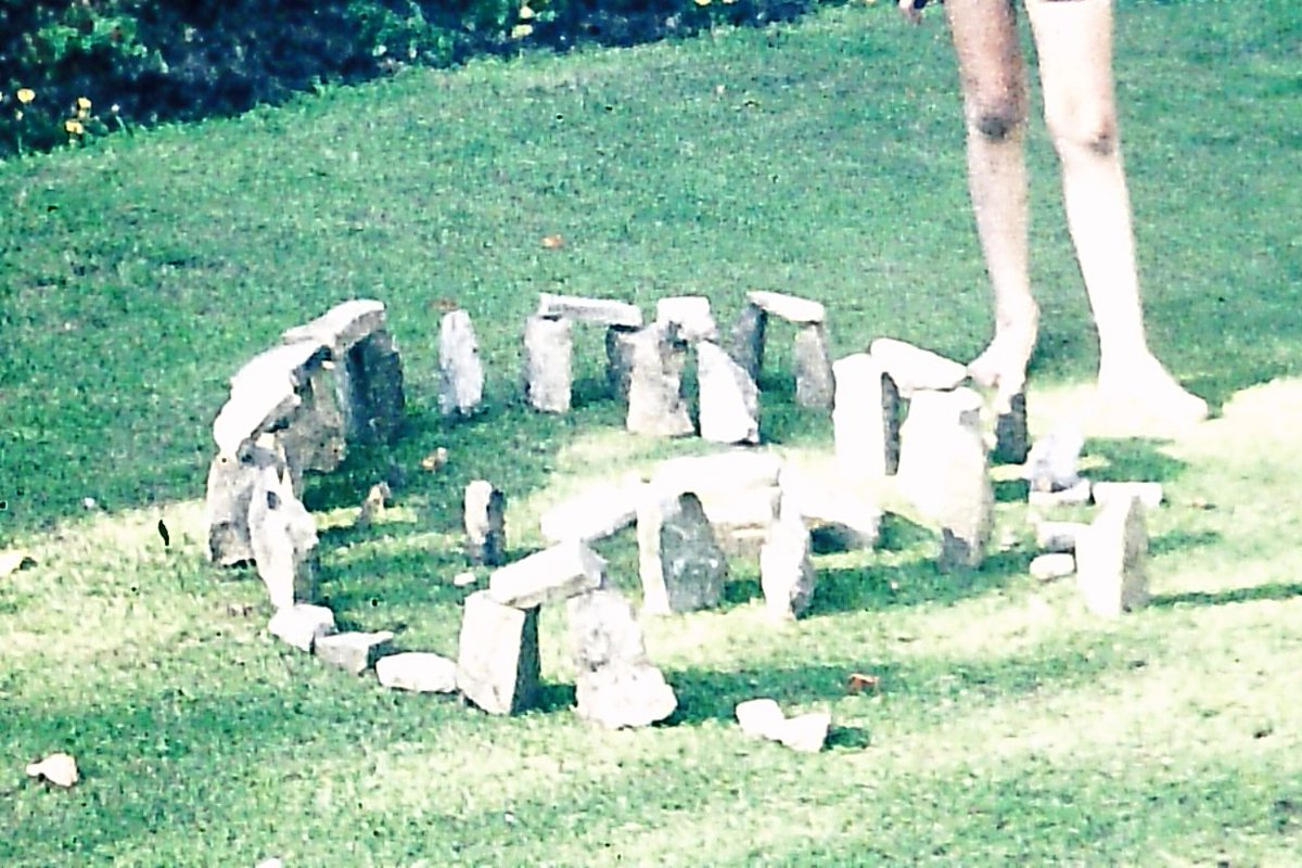 Moose Allain Ꙭ tweet media