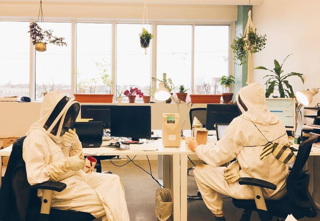nectarbuzz's tweet photo. Our typical day at Nectar's office!☕️ #thehive55 #behindthescenes #teamNectar https://t.co/nQq5KXHPtS https://t.co/N479m9STL5