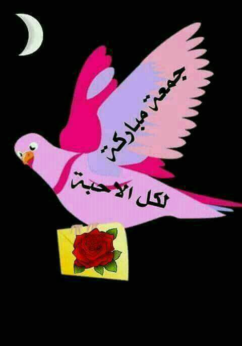 جمعتكم مباركه