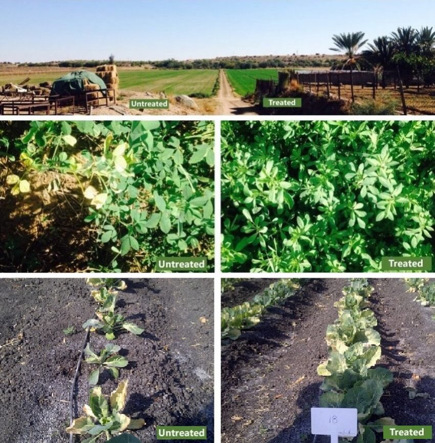 ExploGrow's tweet image. Incredible bio-control functions performed by 7 beneficial microbes explogrow.com/farming-with-m…