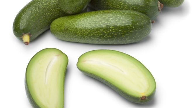 Finally, a seedless avocado!  No more injuries trying to cut through the pesky seed!
bbc.com/news/business-… via <a href="/prometheusgreen/">Val Giddings</a>