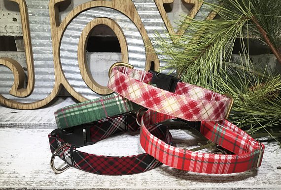 KrisztinaAC's tweet photo. Pick the perfect holiday plaid for your pup!! > https://t.co/lyB8NX2CmR π
#dogmom #doglover #dogcollar #etsy #handmade #plaid #christmas #christmasplaid #doggiecouture #mckinneytx #dogboutique #dogsoftwitter #doggiftguide #shop https://t.co/6UvVg7ZsKh