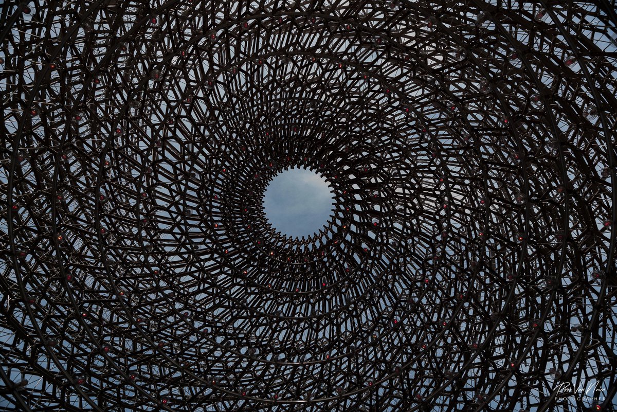 VanNairn's tweet photo. Here are some recent images I took in Kew Gardens. Would like to sell them in the Kew Gardens Shop #vannairnart #happyphotography https://t.co/K2NxoacO8f