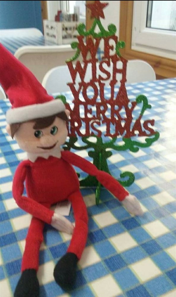 Torfaen Independents tweet media