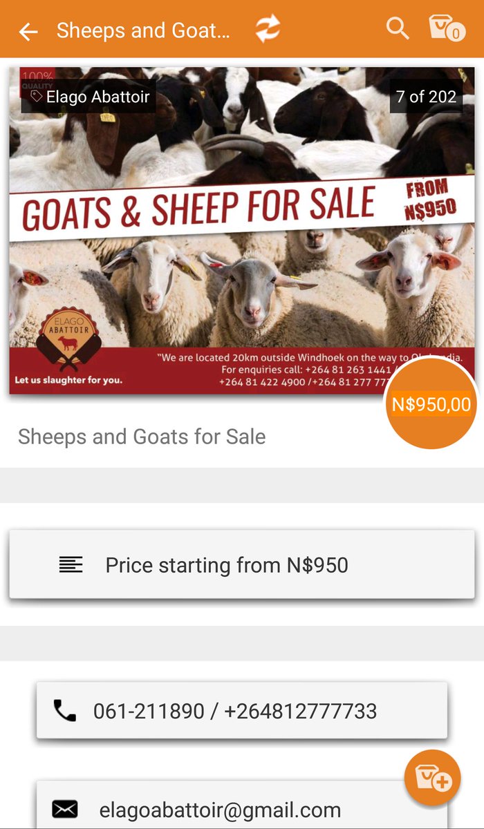 EPula24's tweet photo. Get in touch with Elago Abattoir for affordable livestock via ePula24 mobile App. Visit them in Brakwater #ePula24 #ElagoAbattoir #ncrst https://t.co/UIquhYtf8W