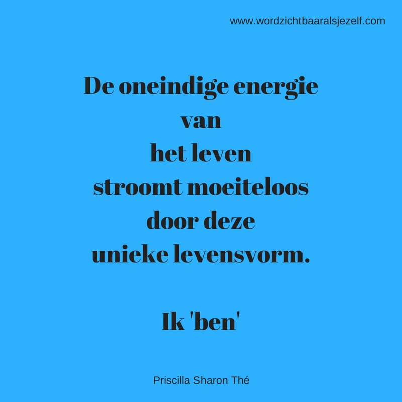 Quote van de dag...