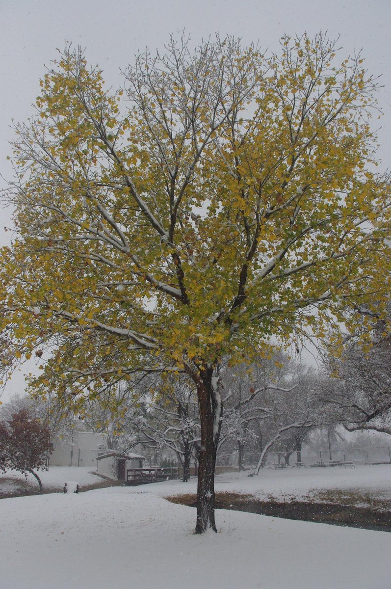 Texas State Parks tweet media