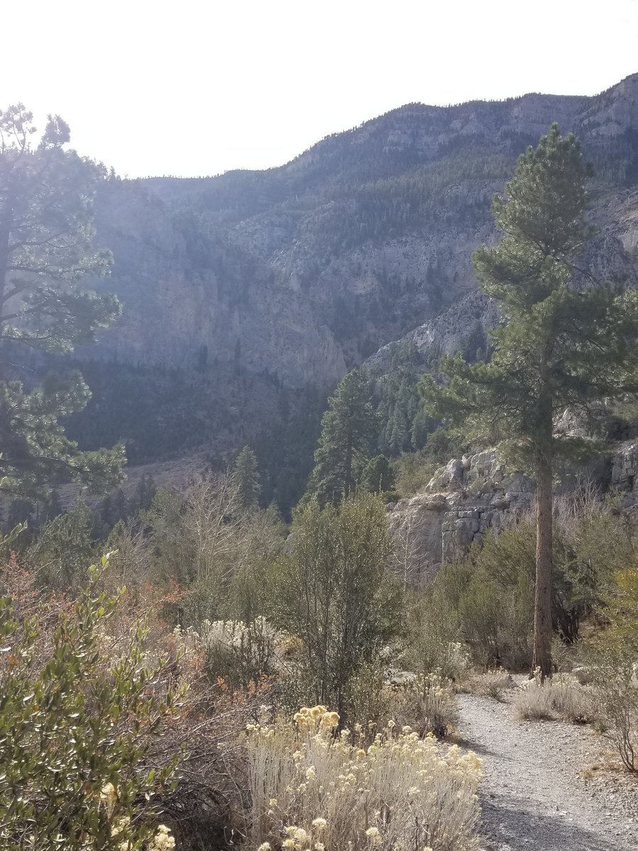 othrunner99's tweet image. Spring mountain range, Southern Nevada