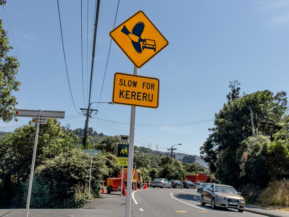 WgtnCC's tweet photo. World’s first official kererū road safety signs installed in Wellington. More info at https://t.co/1OIe9QF0Ef. https://t.co/vG5trOnHZV