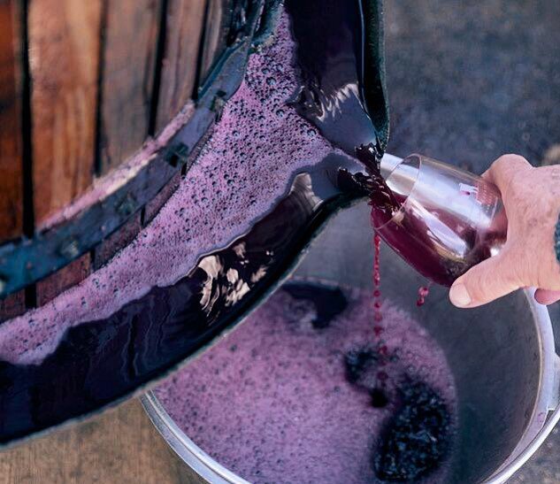 South Australia (@southaustralia) on Twitter photo This #foodieFriday we're skipping the bottle and going straight to the barrel 🍷 Pic: <a href="/RaidisEstate/">Raidis Estate</a>, <a href="/CoonawarraWine/">Coonawarra</a> bit.ly/CoonawarraWine… This #foodieFriday we're skipping the bottle and going straight to the barrel 🍷 Pic: <a href="/RaidisEstate/">Raidis Estate</a>, <a href="/CoonawarraWine/">Coonawarra</a> bit.ly/CoonawarraWine…