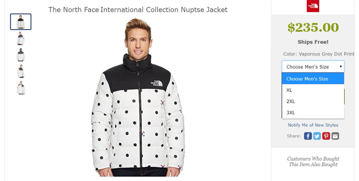 the north face international collection