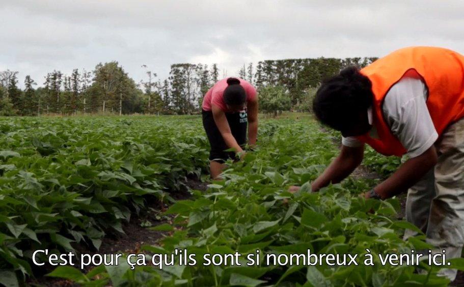 theshorelinedoc's tweet image. Migrant workers have rights #HumanRightsDay #migrants