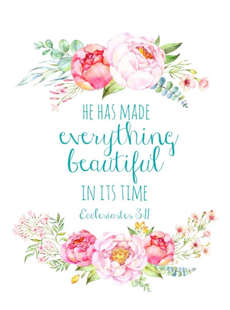 JennRushy's tweet photo. Trusting in His perfect Will 💛🌿 https://t.co/SlPNFv2MfT