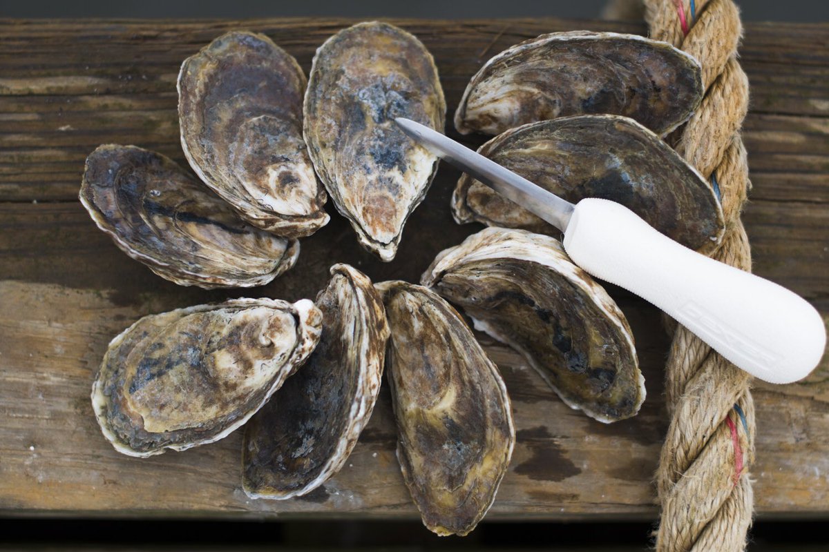 THE SEVENTH DAY OF OYSTERS

ELDER POINT OYSTERS

Port Norris, NJ

Info on how to order Elder Point Oysters direct on our website: theoysterhood.com/oystories/2017…

#12daysofoysters #theoysterhood #oystersdirect #farmerswithbenefits